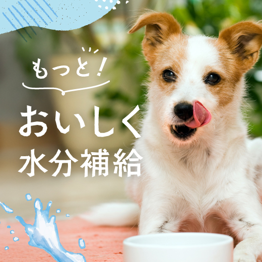 もっとおいしく！水分補給