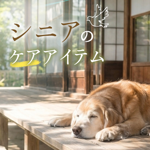 シニアケアアイテム