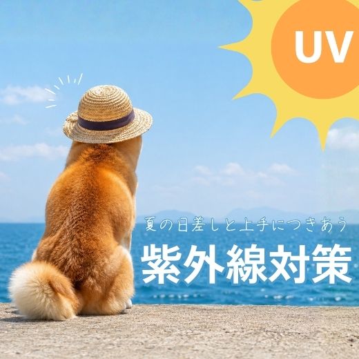 夏の紫外線対策