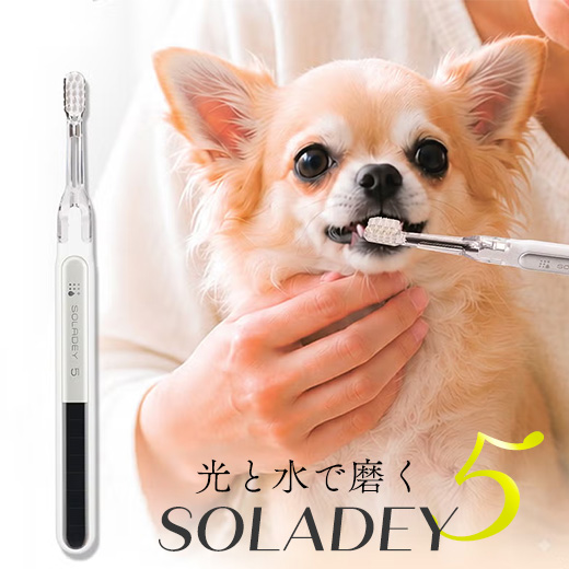 ソラデーペット