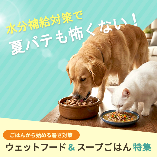 夏を乗り切るウェットフード・スープごはん特集