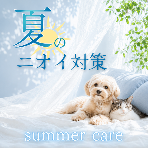 夏のニオイ対策
