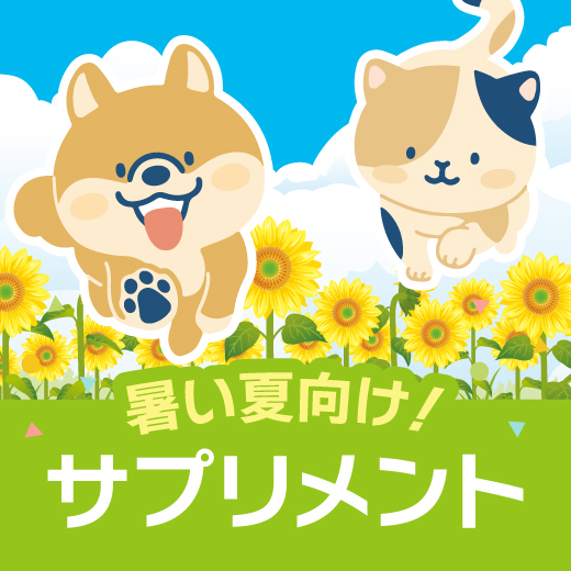 暑い夏向け！ サプリメント