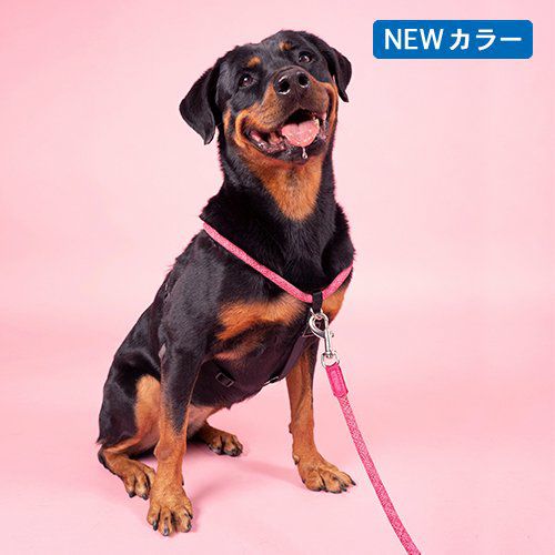 HIGH5DOGS | GRASS オンラインショップ