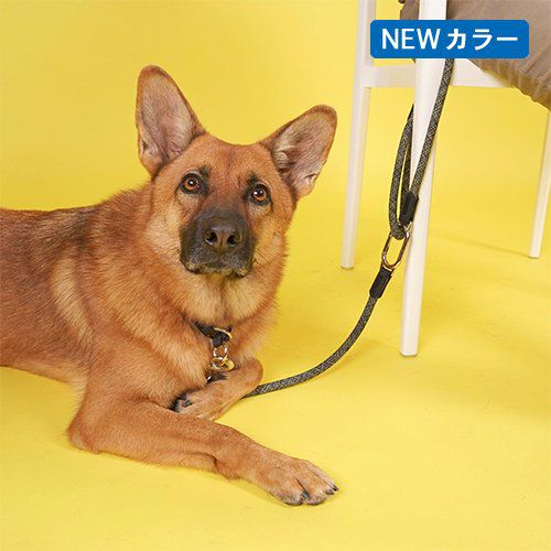 HIGH5DOGS | GRASS オンラインショップ