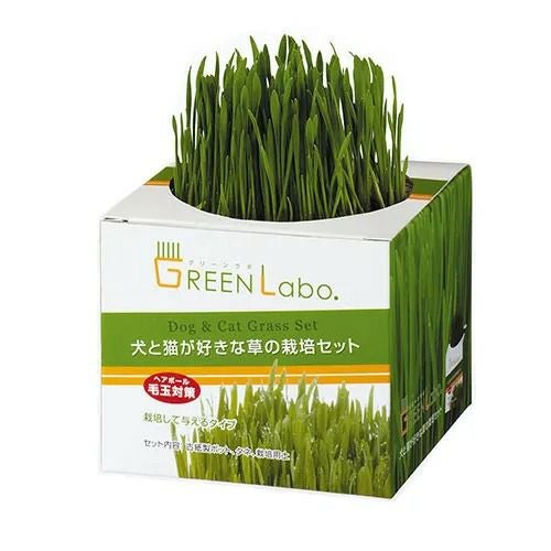 GREEN Labo】 犬と猫が好きな草 猫草 栽培セット グリーンラボ | GRASS