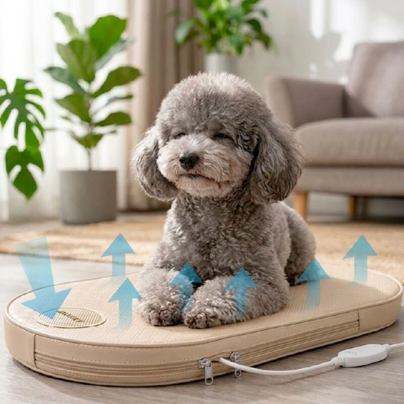 AIRPET プレミアム エアクーリングマット HUGLUVⅨ】 AIRPET エアペット プレミアム エアクーリングマット